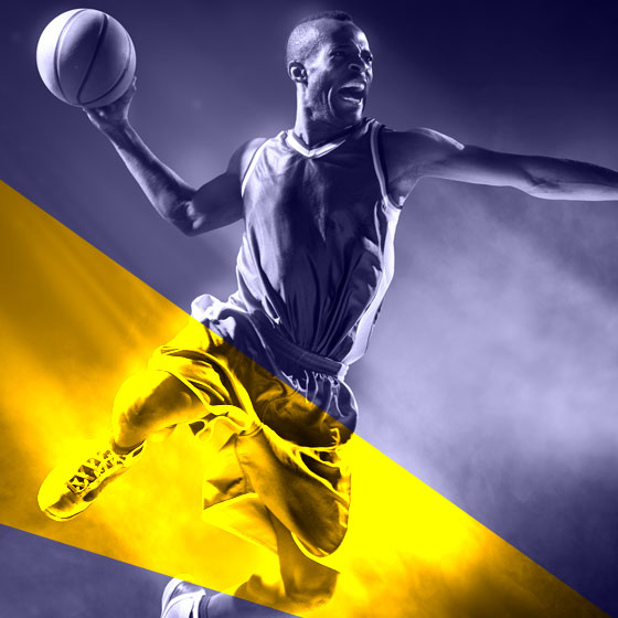 Michigan Wolverines