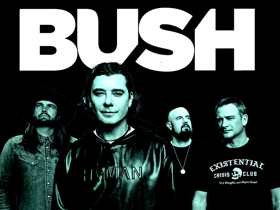 Bush