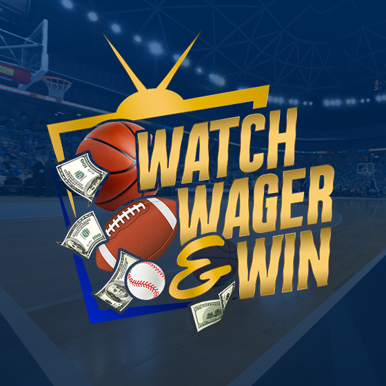 Michigan vs Michigan State WWW