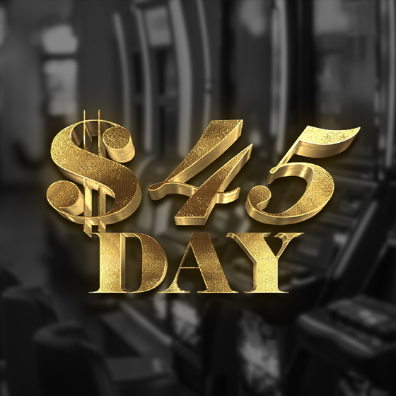 $45 Day