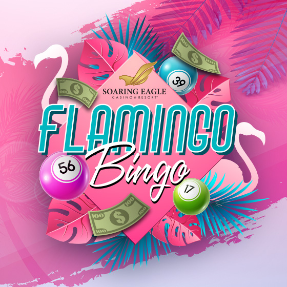 Flamingo Bingo