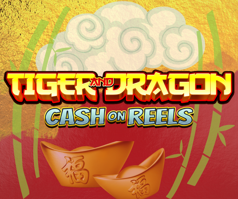 Inactivity Handling Features in Tiger Dragon Live Dealer Play for Pakistan